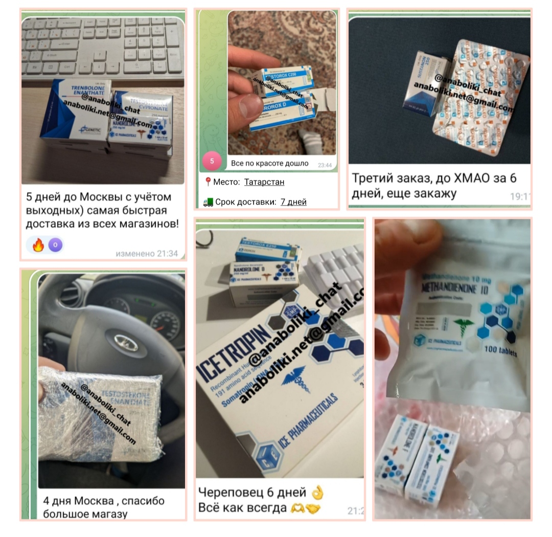 АНАБОЛИКИ.net - оф.дилер SP, Zerox, Genetic, Magnus, Lyka ! - Бодибилдинг форум AnabolicShops