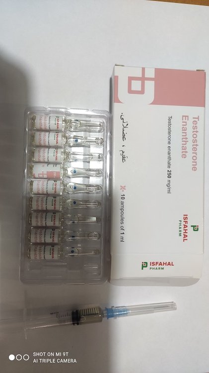 Top Pharmalabs - Бодибилдинг форум AnabolicShops