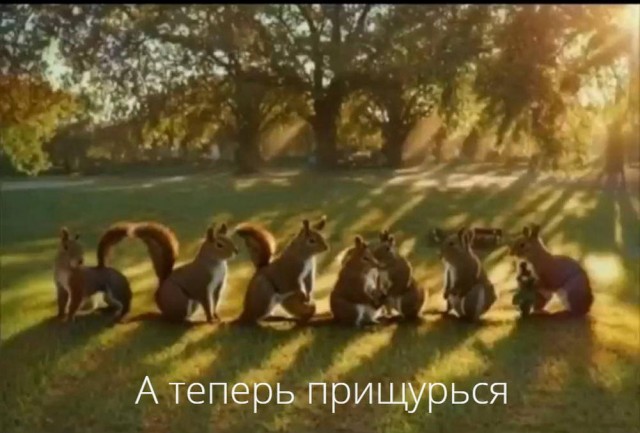 Курилка- разговоры на любые темы - Бодибилдинг форум AnabolicShops