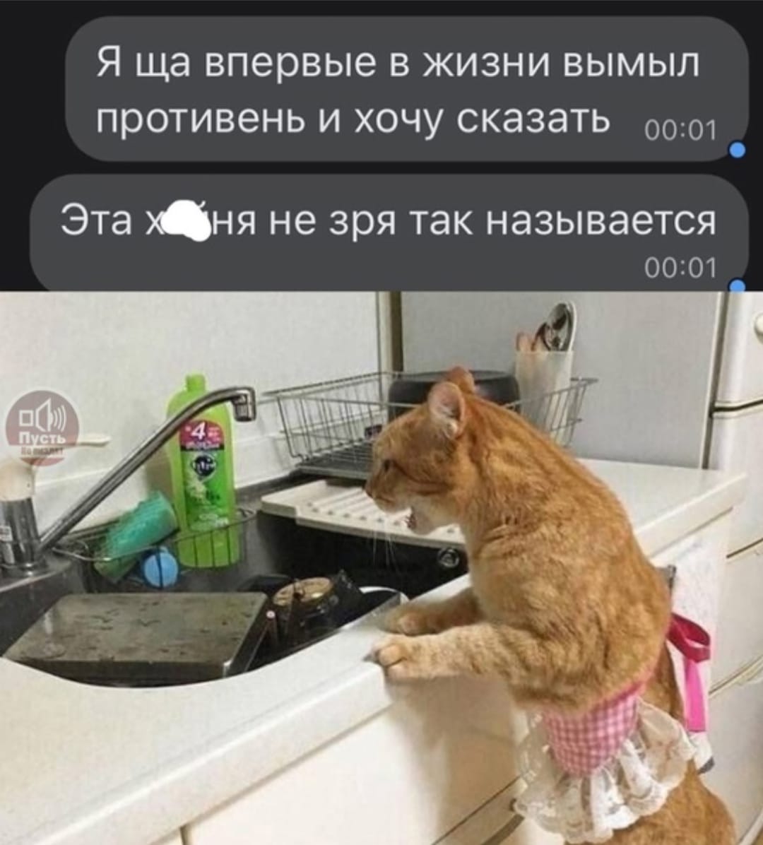 Анекдоты обо всем - Бодибилдинг форум AnabolicShops