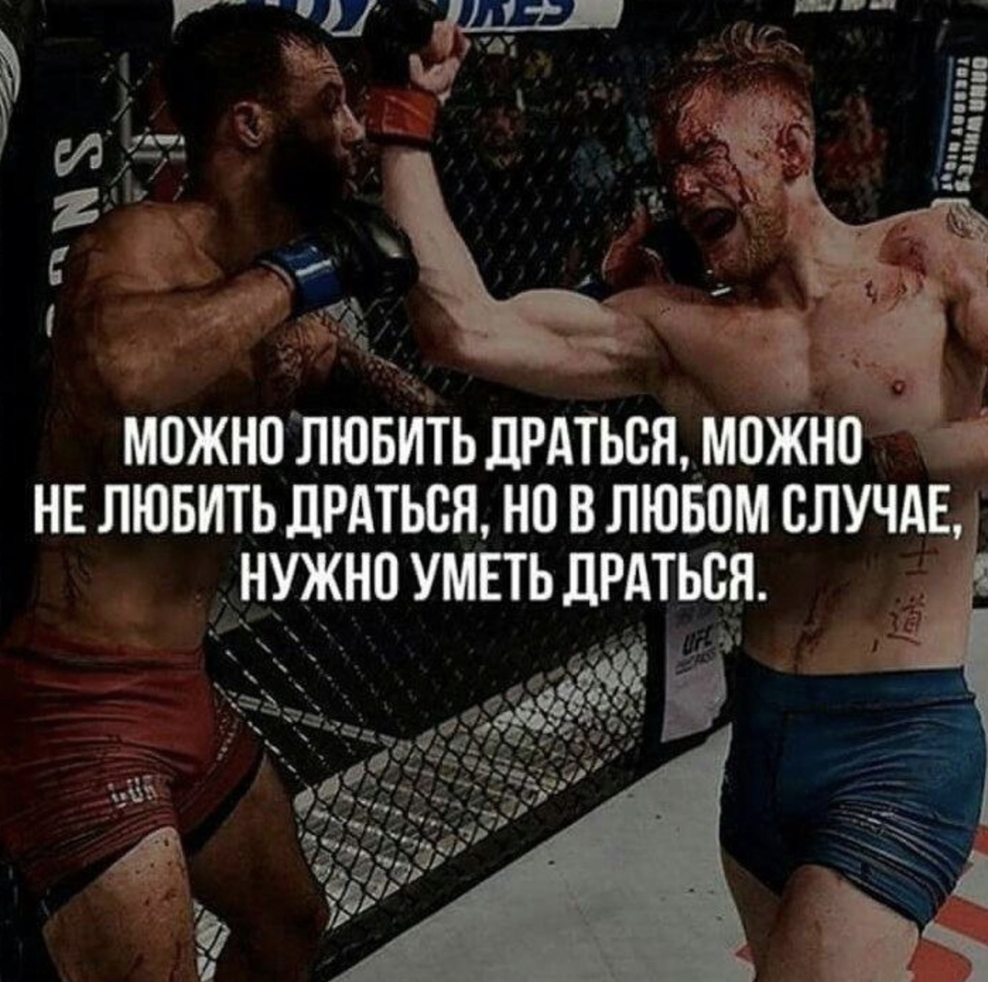 Курилка- разговоры на любые темы - Бодибилдинг форум AnabolicShops