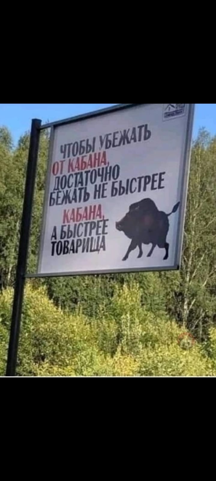 Курилка- разговоры на любые темы - Бодибилдинг форум AnabolicShops