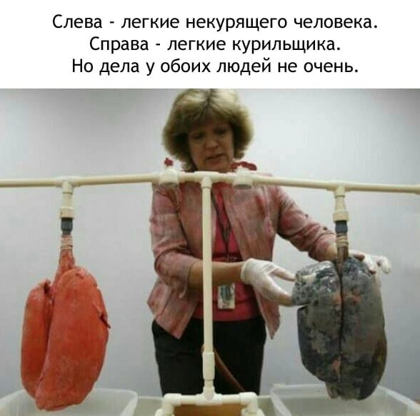 Анекдоты обо всем - Бодибилдинг форум AnabolicShops