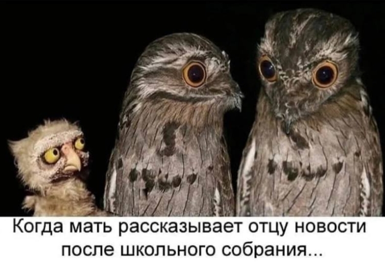 Анекдоты обо всем - Бодибилдинг форум AnabolicShops