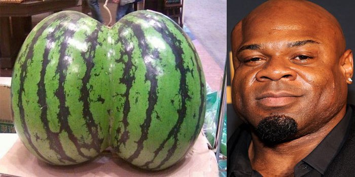 Thomas&Co - Медицинское качество. - Бодибилдинг форум AnabolicShops