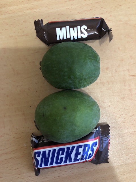 Hilma PRO - с заботой о вашем здоровье! - Бодибилдинг форум AnabolicShops