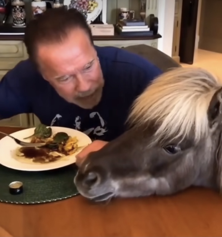 Hilma PRO - с заботой о вашем здоровье! - Бодибилдинг форум AnabolicShops