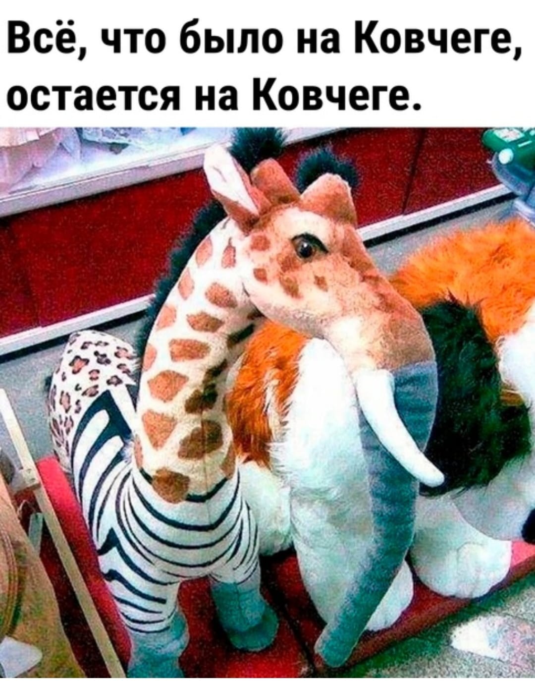 Курилка- разговоры на любые темы - Бодибилдинг форум AnabolicShops