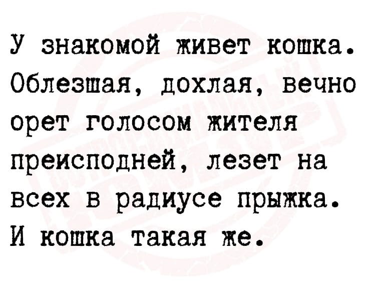 Анекдоты обо всем - Бодибилдинг форум AnabolicShops