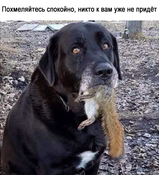 Курилка- разговоры на любые темы - Бодибилдинг форум AnabolicShops