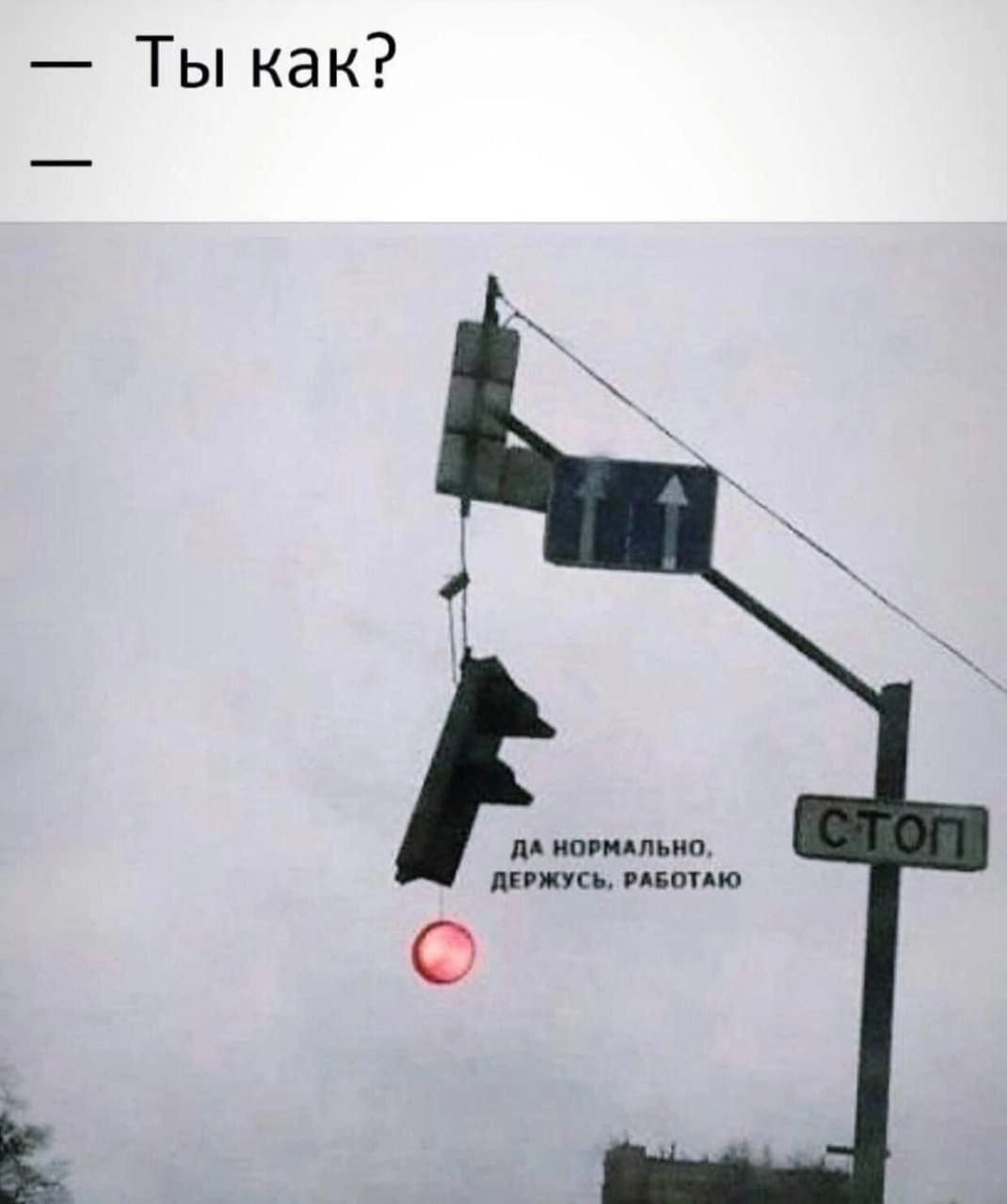 АНАБОЛИКИ.net - оф.дилер SP, Zerox, Genetic, Magnus, Lyka ! - Бодибилдинг форум AnabolicShops