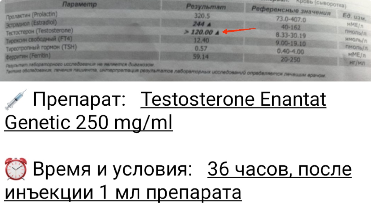 АНАБОЛИКИ.net - оф.дилер SP, Zerox, Genetic, Magnus, Lyka ! - Бодибилдинг форум AnabolicShops