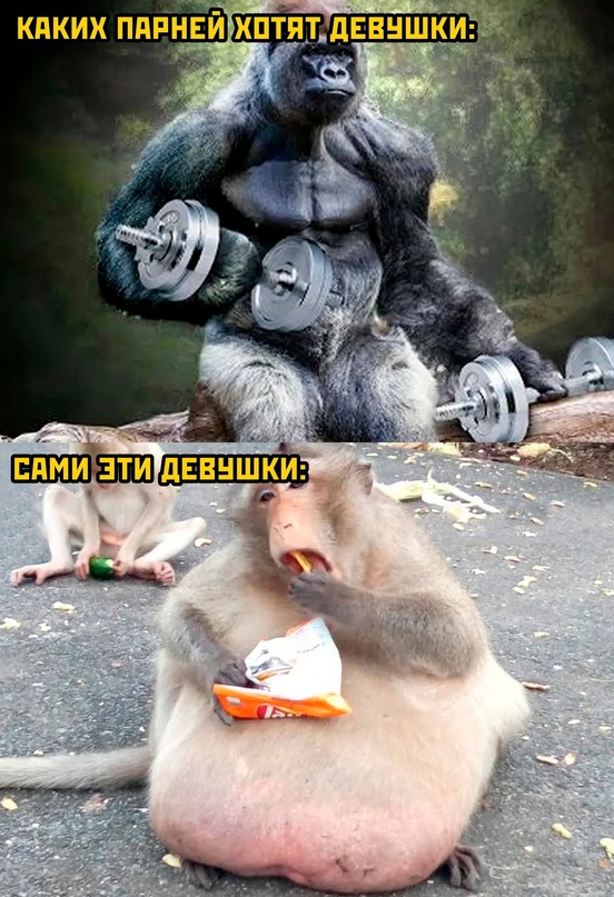 Курилка- разговоры на любые темы - Бодибилдинг форум AnabolicShops