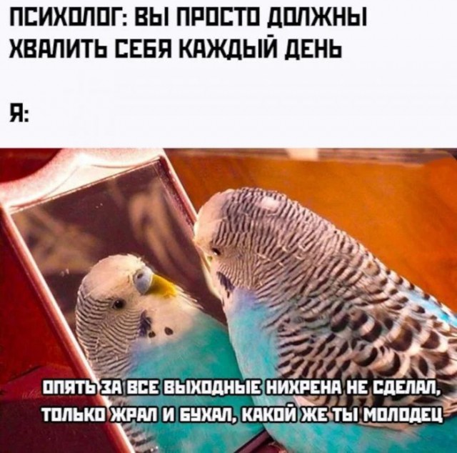 Курилка- разговоры на любые темы - Бодибилдинг форум AnabolicShops