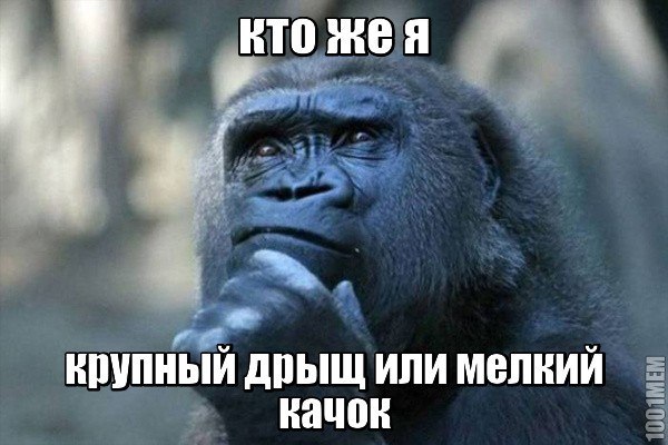 Thomas&Co - Медицинское качество. - Бодибилдинг форум AnabolicShops