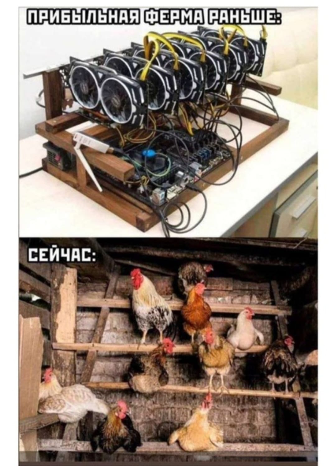 Анекдоты обо всем - Бодибилдинг форум AnabolicShops