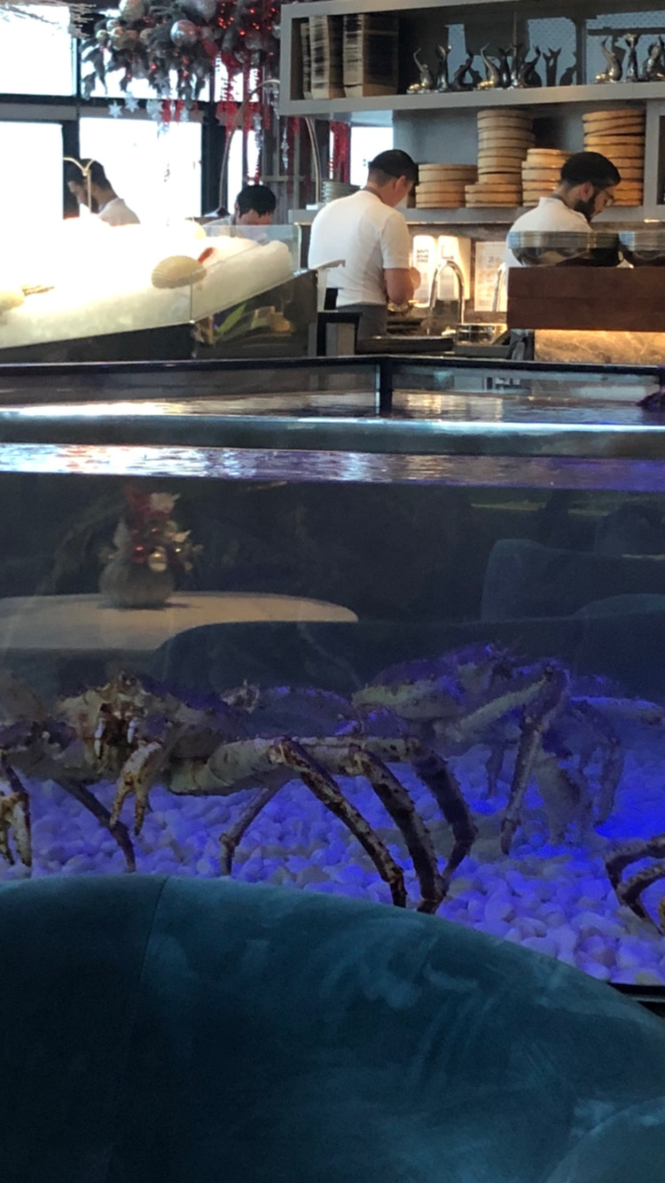 Hilma PRO - с заботой о вашем здоровье! - Бодибилдинг форум AnabolicShops