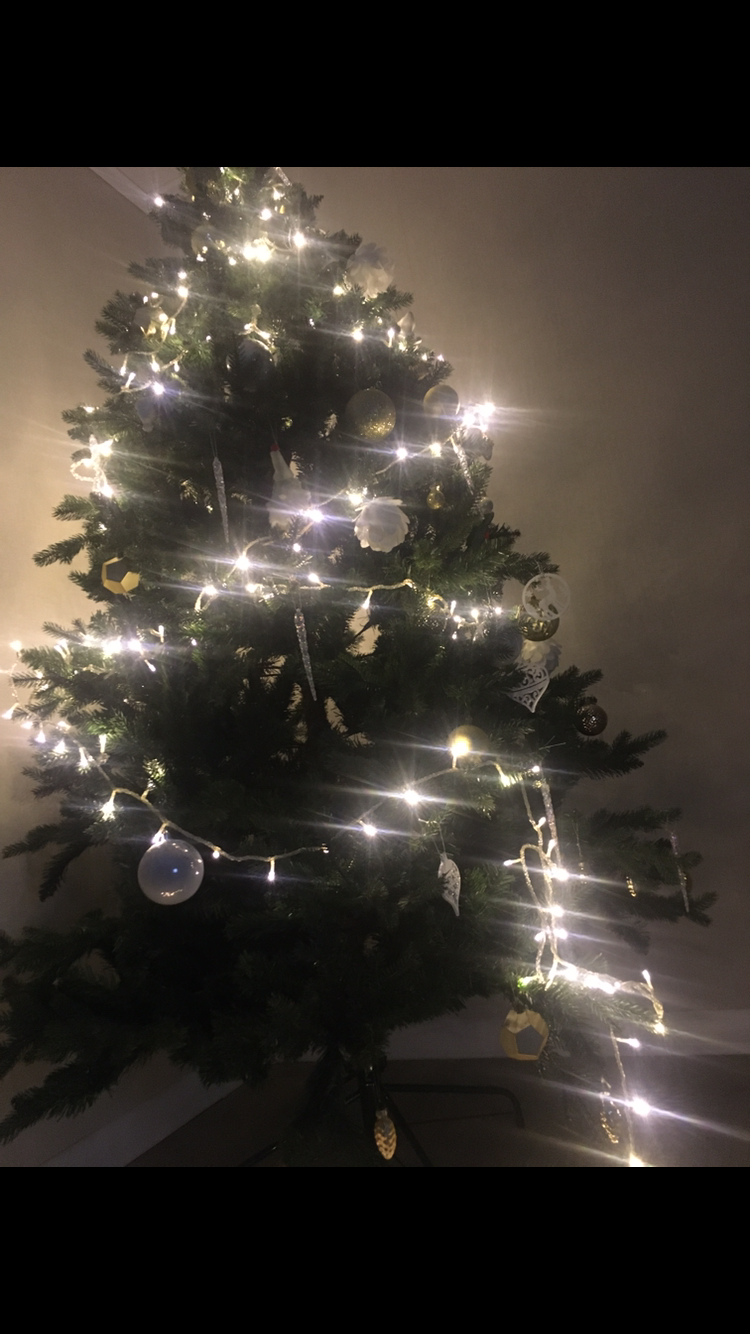 С наступающим 2024 годом! - Бодибилдинг форум AnabolicShops