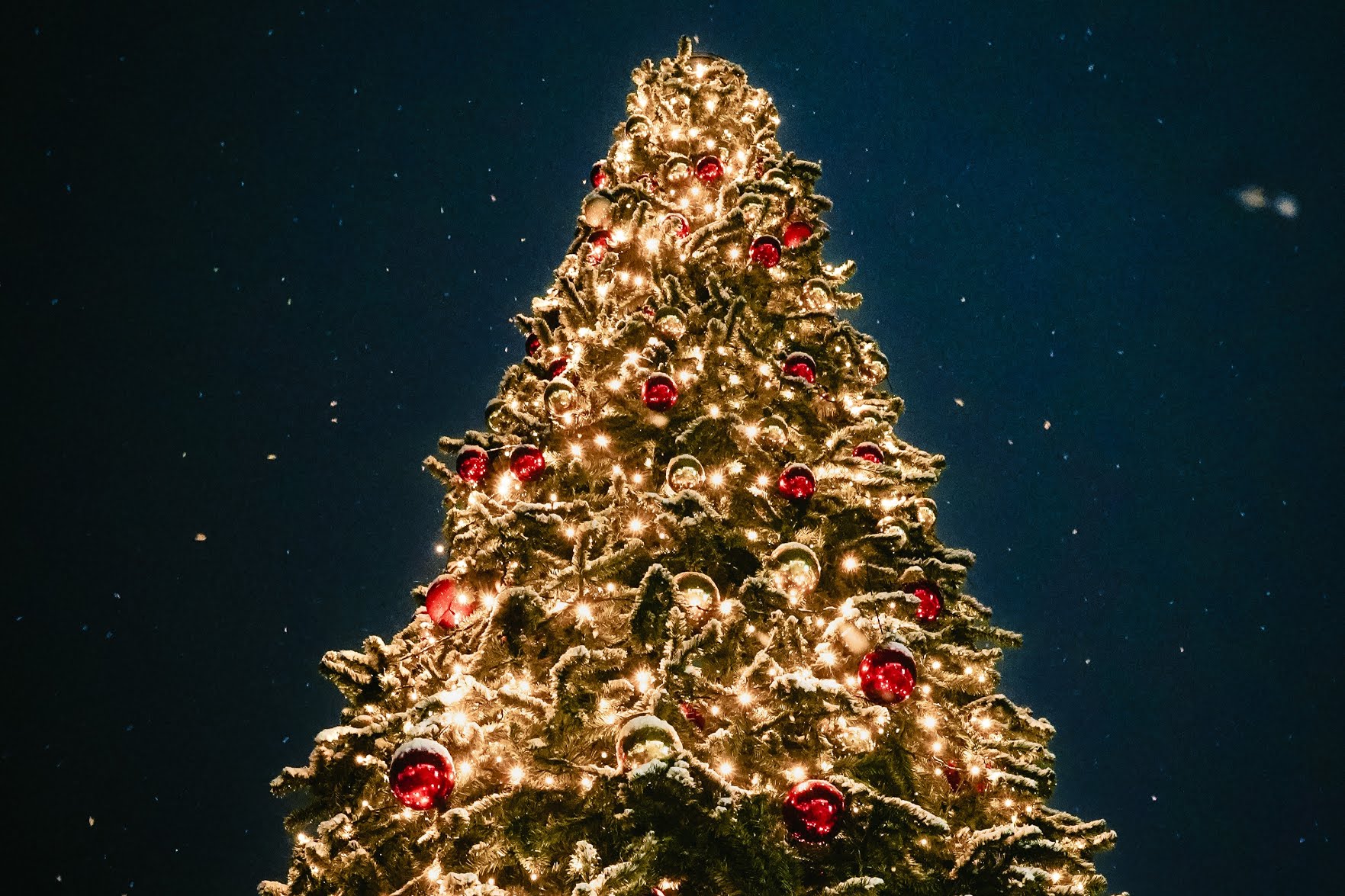 С наступающим 2024 годом! - Бодибилдинг форум AnabolicShops