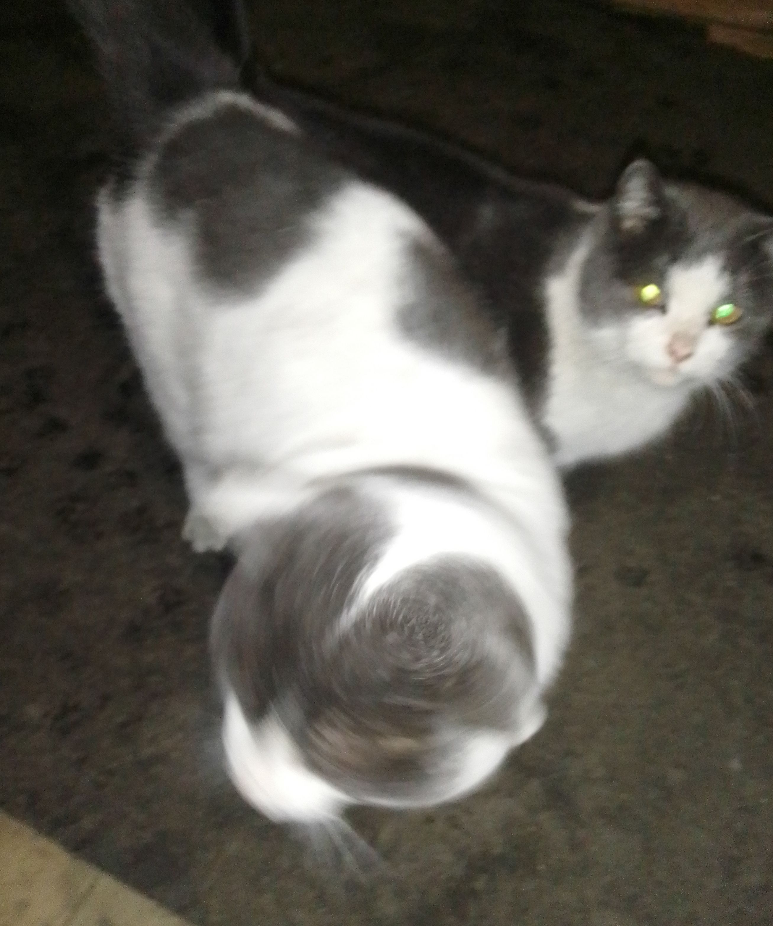 Сын Арнольда Джозеф продает программы тренировок - Бодибилдинг форум AnabolicShops