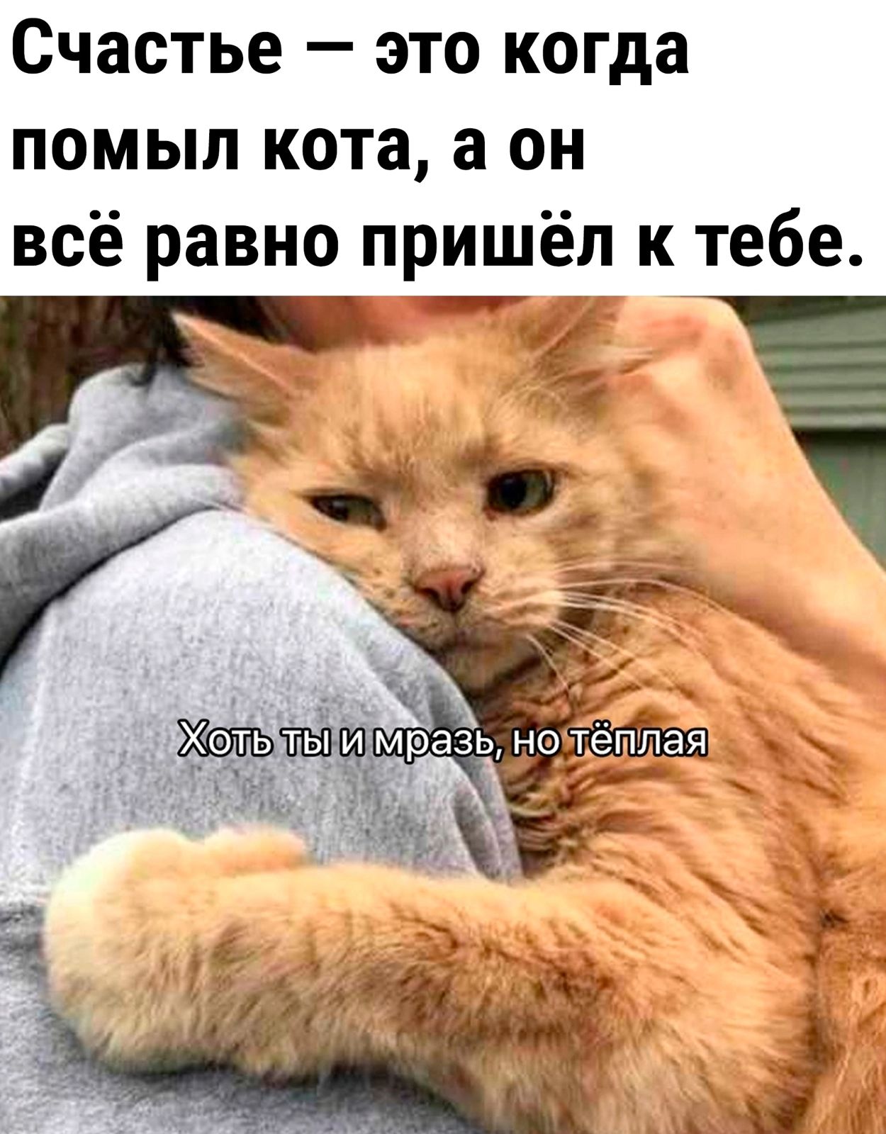 Анекдоты обо всем - Бодибилдинг форум AnabolicShops