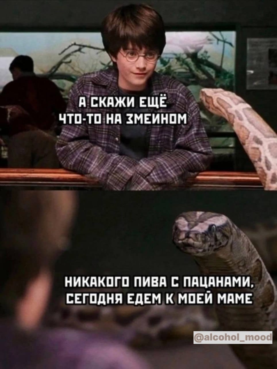 Курилка- разговоры на любые темы - Бодибилдинг форум AnabolicShops