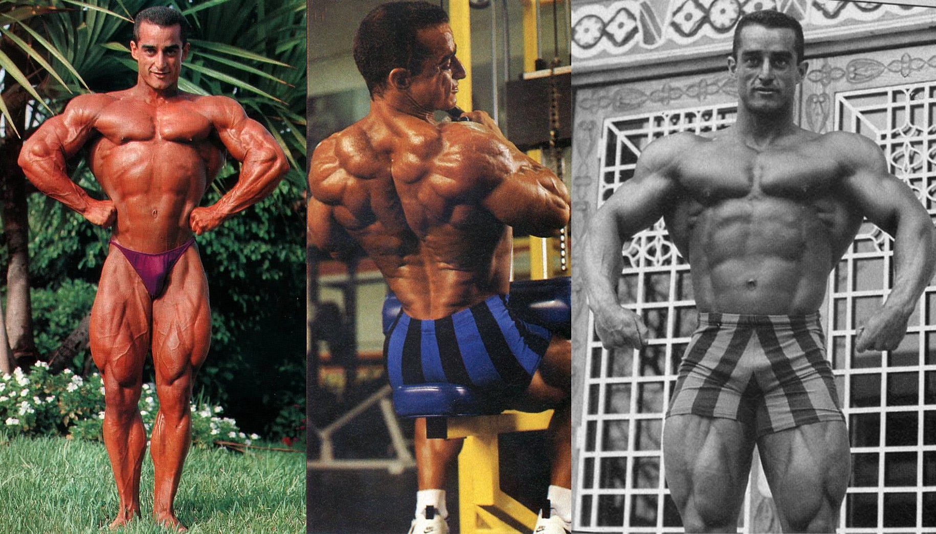 Умер бодибилдер, разбивший кубок за 2 место - Бодибилдинг форум AnabolicShops