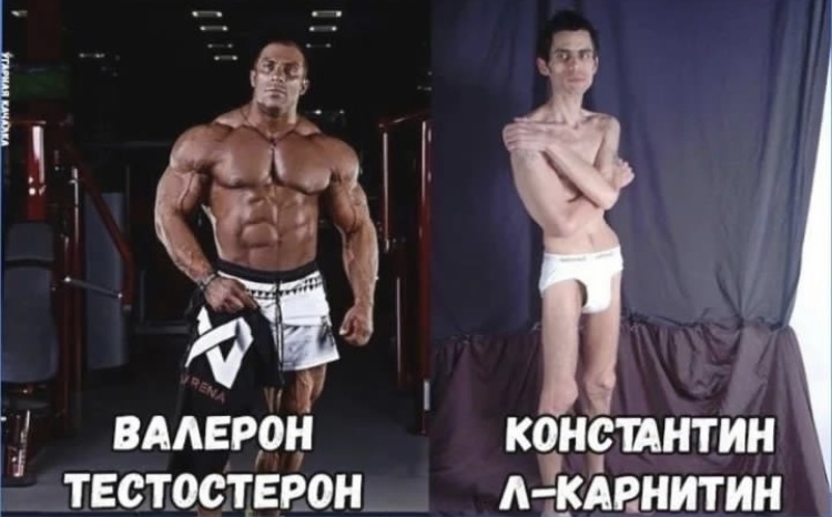 Hilma PRO - с заботой о вашем здоровье! - Бодибилдинг форум AnabolicShops