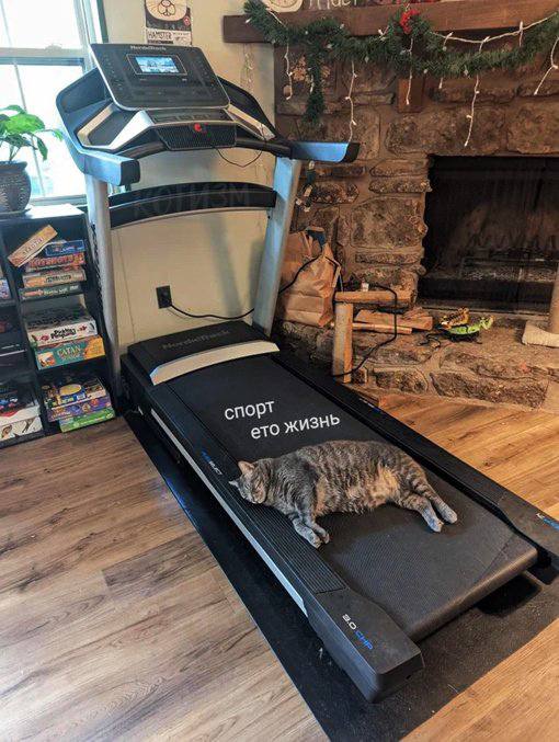 Курилка- разговоры на любые темы - Бодибилдинг форум AnabolicShops