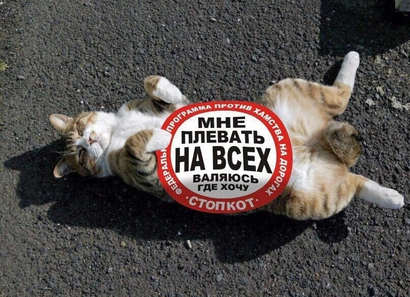 Курилка- разговоры на любые темы - Бодибилдинг форум AnabolicShops