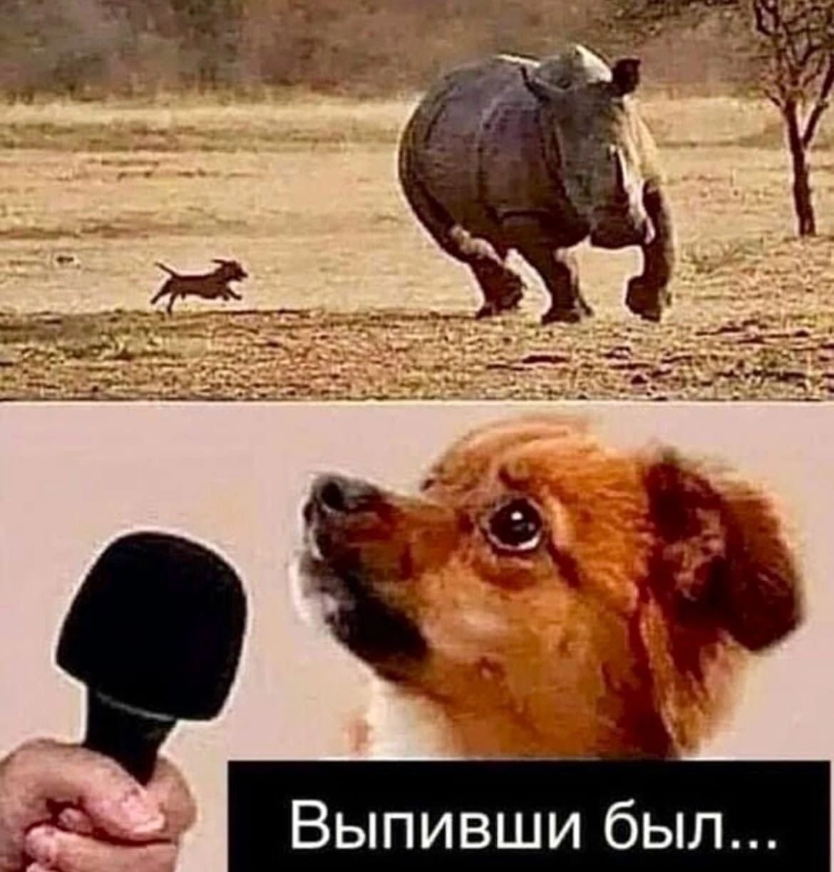 Анекдоты обо всем - Бодибилдинг форум AnabolicShops