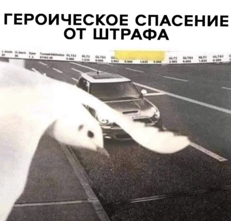 Лучший бренд по итогам года! - Бодибилдинг форум AnabolicShops