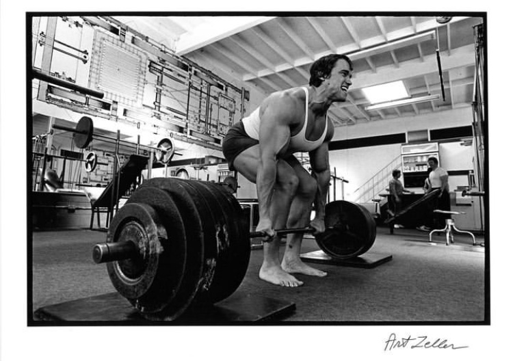 Hilma PRO - с заботой о вашем здоровье! - Бодибилдинг форум AnabolicShops