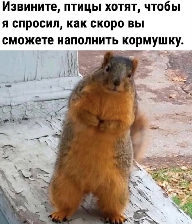 Hilma PRO - с заботой о вашем здоровье! - Бодибилдинг форум AnabolicShops