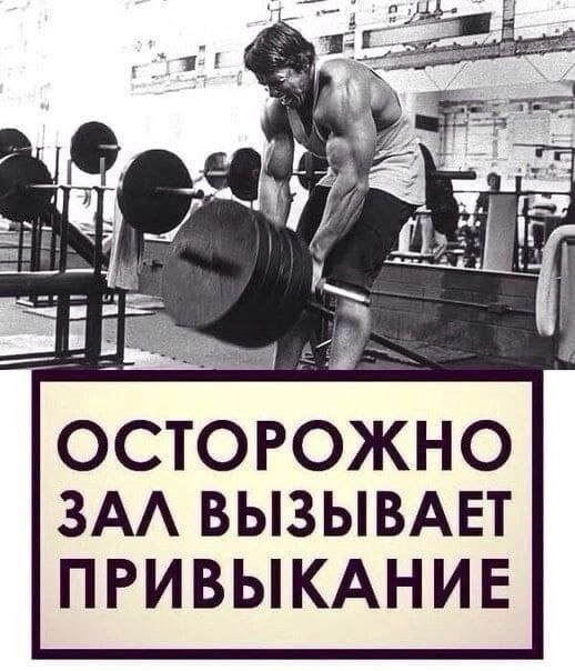 Курилка- разговоры на любые темы - Бодибилдинг форум AnabolicShops