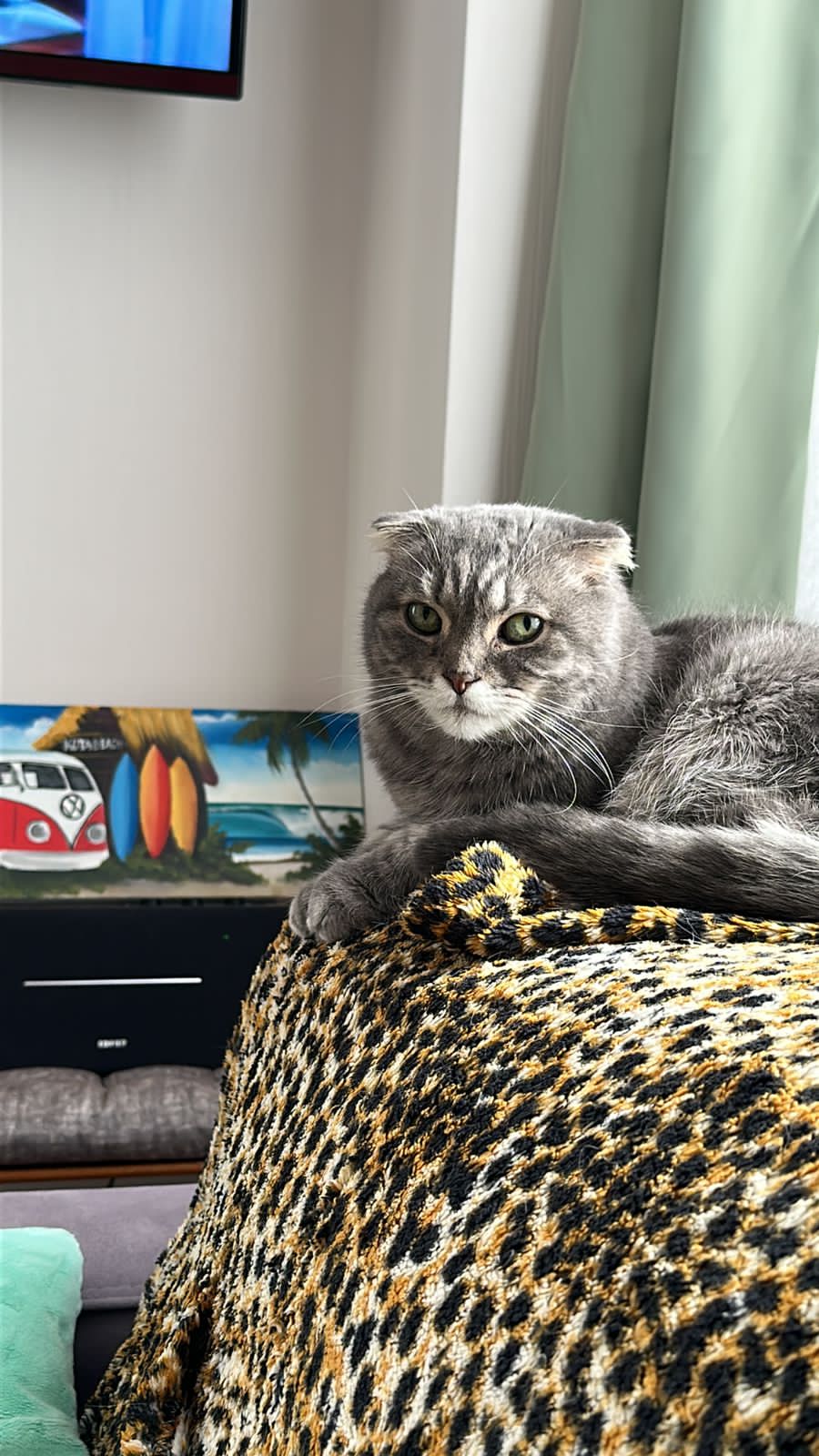 Мои домашние питомцы - Бодибилдинг форум AnabolicShops