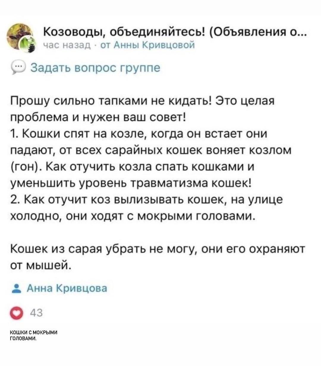 Анекдоты обо всем - Бодибилдинг форум AnabolicShops