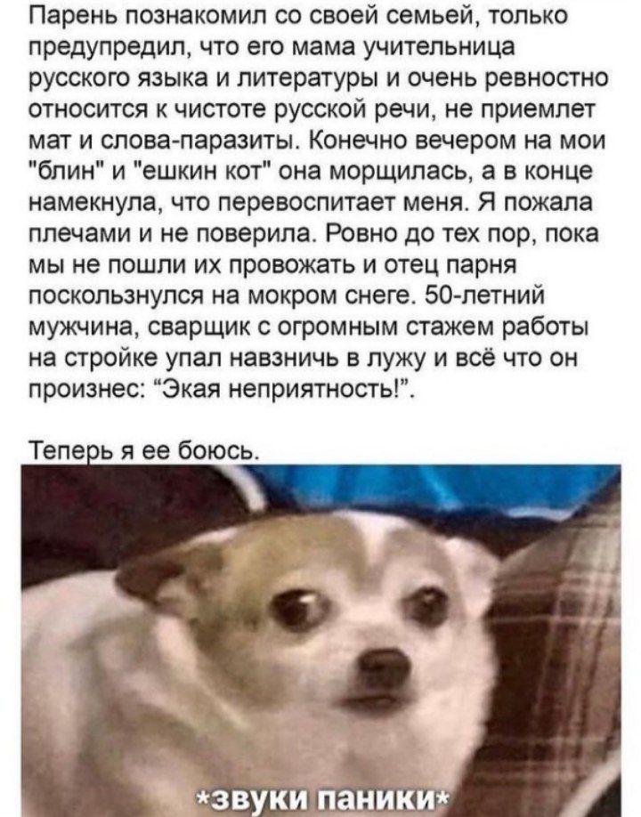 Анекдоты обо всем - Бодибилдинг форум AnabolicShops