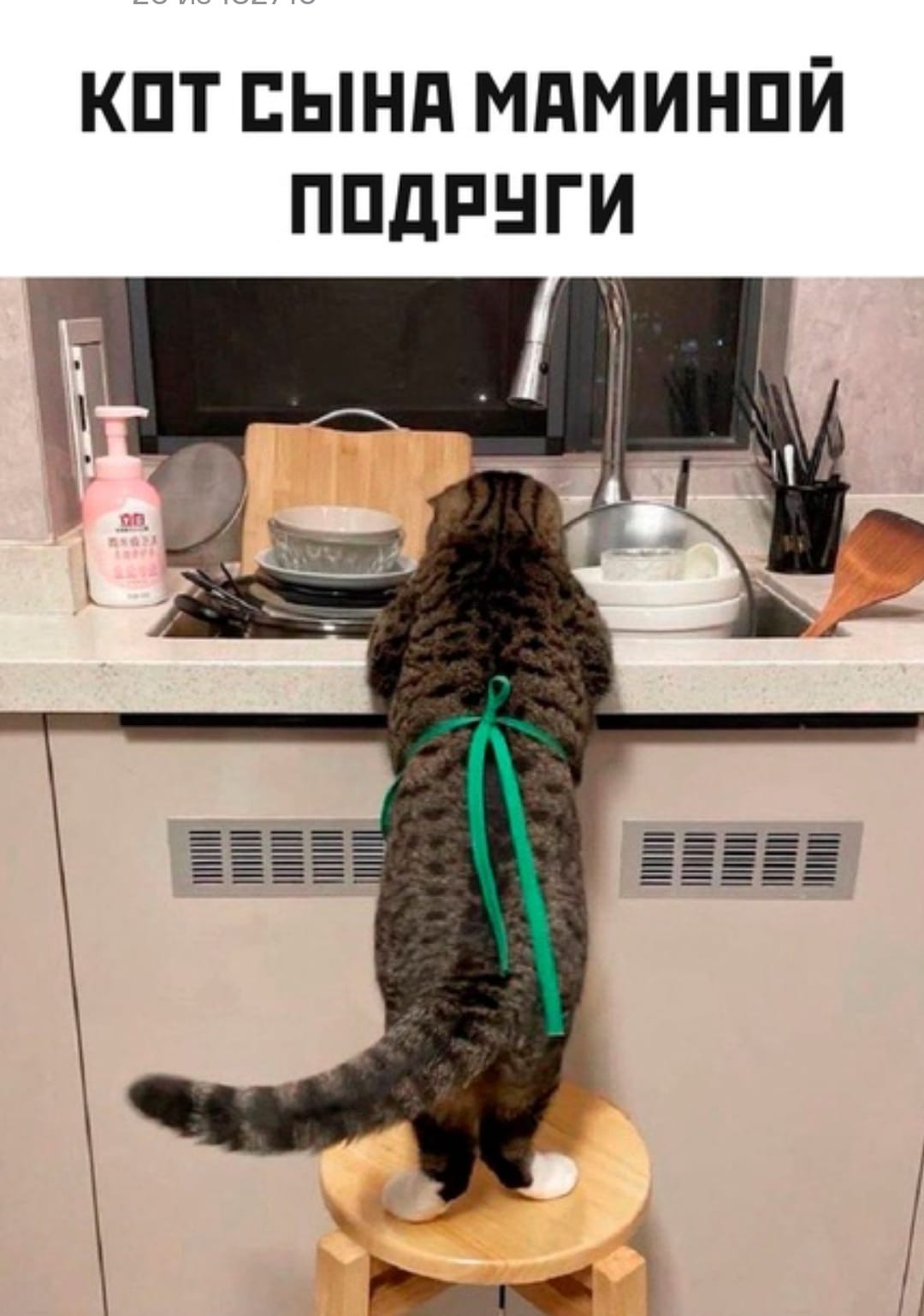 Анекдоты обо всем - Бодибилдинг форум AnabolicShops