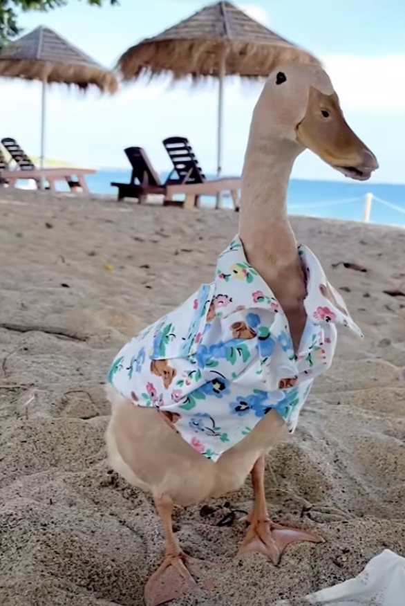 Hilma PRO - с заботой о вашем здоровье! - Бодибилдинг форум AnabolicShops