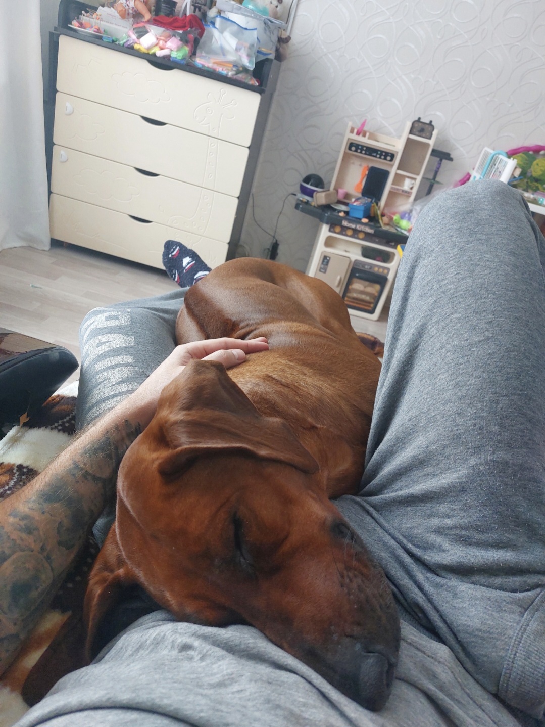 Hilma PRO - с заботой о вашем здоровье! - Бодибилдинг форум AnabolicShops