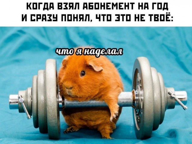 Курилка- разговоры на любые темы - Бодибилдинг форум AnabolicShops