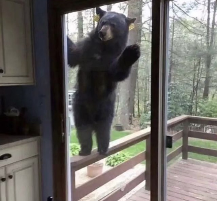 Hilma PRO - с заботой о вашем здоровье! - Бодибилдинг форум AnabolicShops