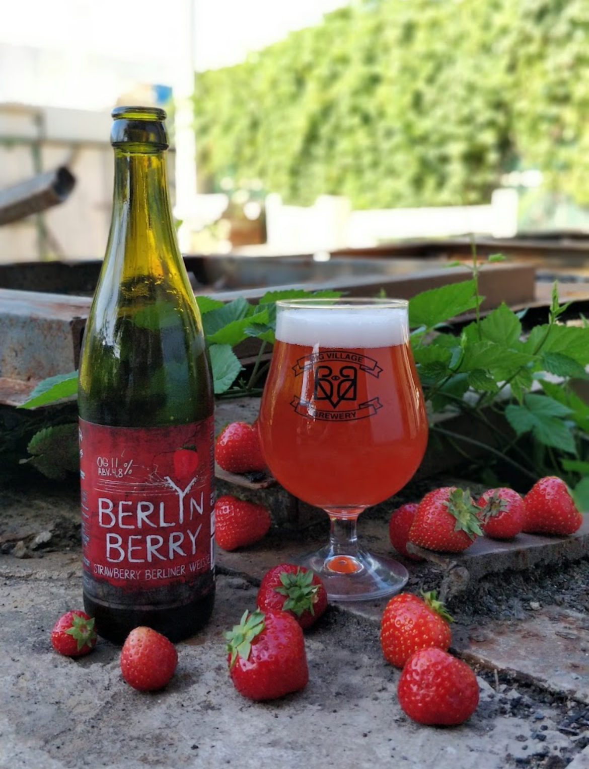 Пиво от Антона - Бодибилдинг форум AnabolicShops