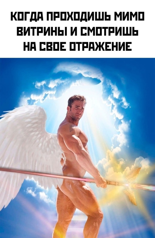 Приколюшные картинки - Бодибилдинг форум AnabolicShops