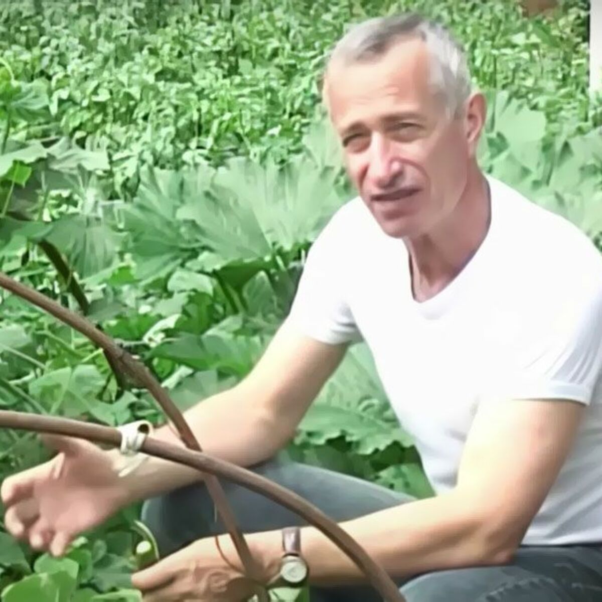 Hilma PRO - с заботой о вашем здоровье! - Бодибилдинг форум AnabolicShops