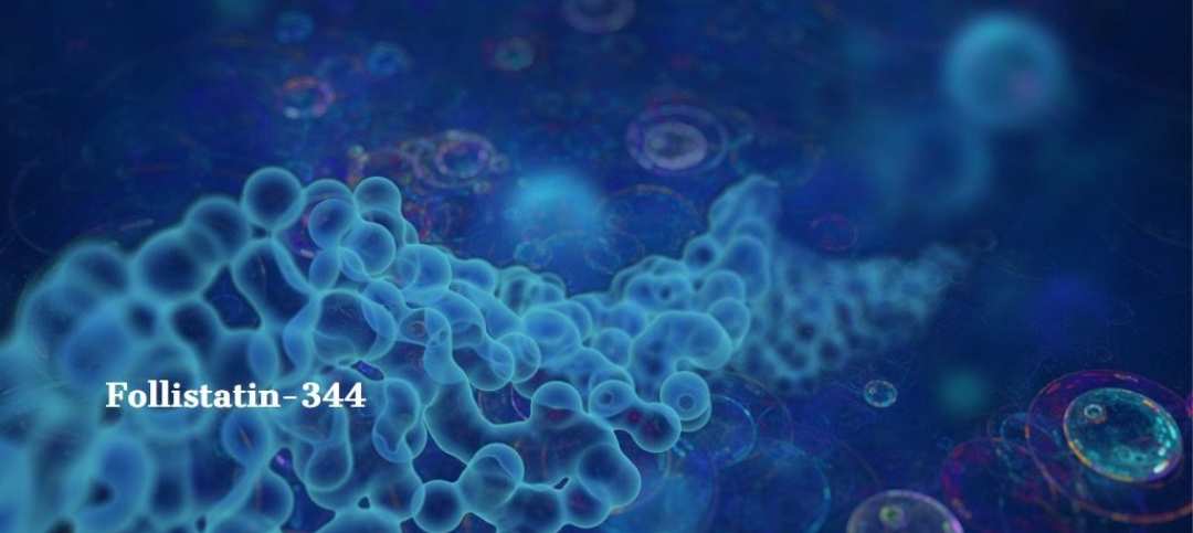 Hilma PRO - с заботой о вашем здоровье! - Бодибилдинг форум AnabolicShops