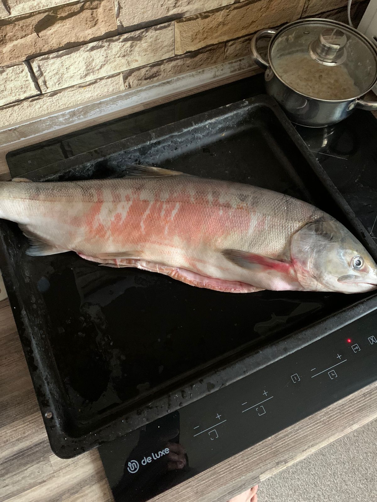 Hilma PRO - с заботой о вашем здоровье! - Бодибилдинг форум AnabolicShops