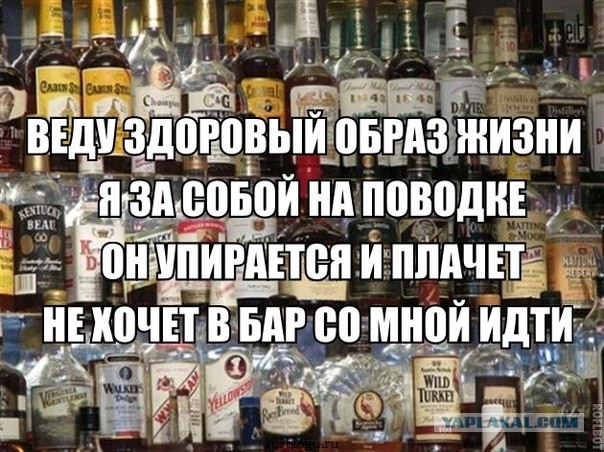 Курилка- разговоры на любые темы - Бодибилдинг форум AnabolicShops