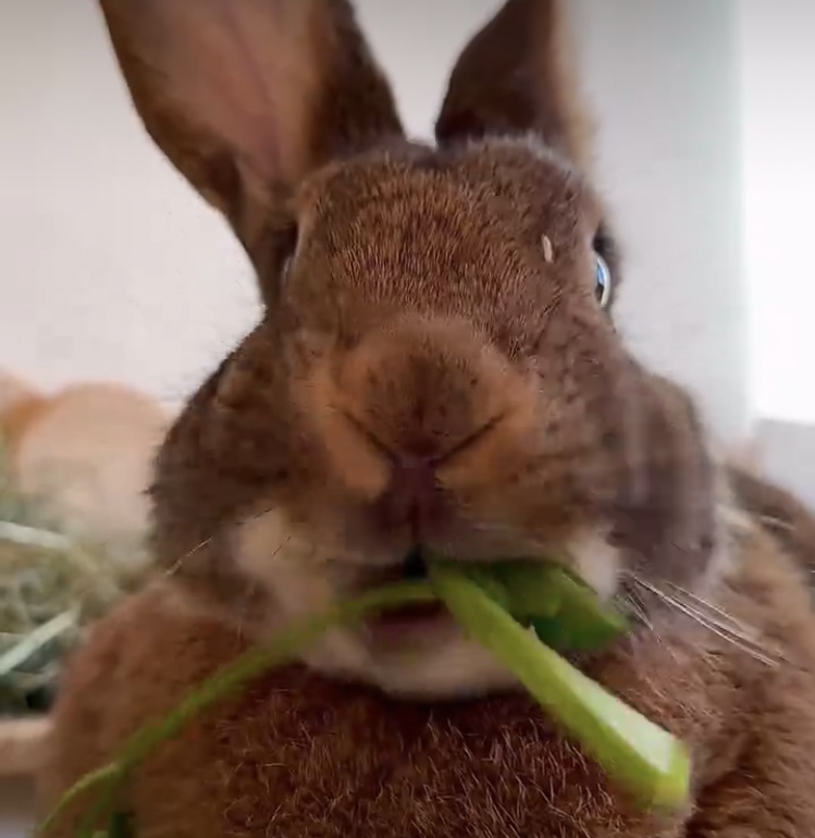 Hilma PRO - с заботой о вашем здоровье! - Бодибилдинг форум AnabolicShops